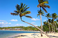 Things to do Bouganville