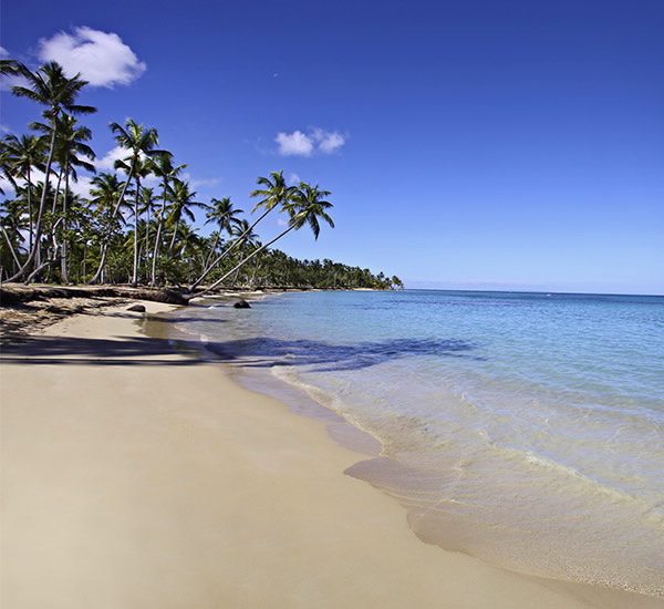 Weddings in Samana
